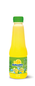 Bahçeden Limon 250 ml